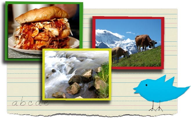 STUFED Collage